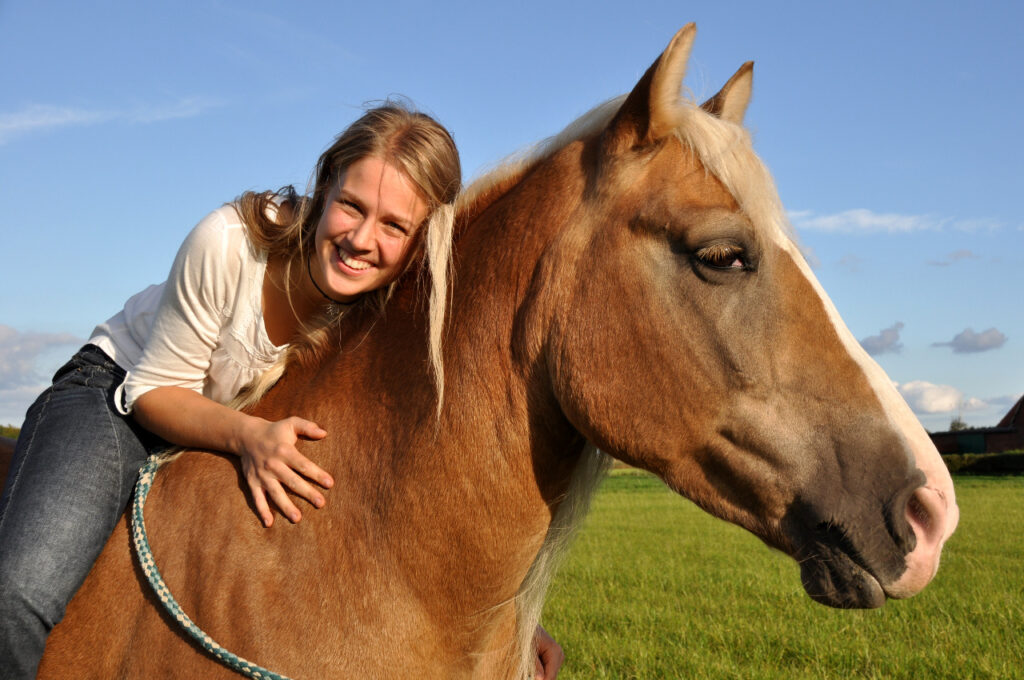 Julia Krietemeyer Pferdeosteopathie in Oelde, Warendorf, Beckum, Wadersloh, Ennigerloh
